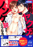 男前ヤクザが狙ったノンケを飼うと、こうなる。【特別版】【描き下ろし漫画付き】(3)