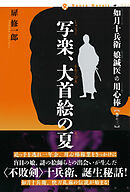如月十兵衛　娘鍼医の用心棒〈巻の三〉写楽、大首絵の夏