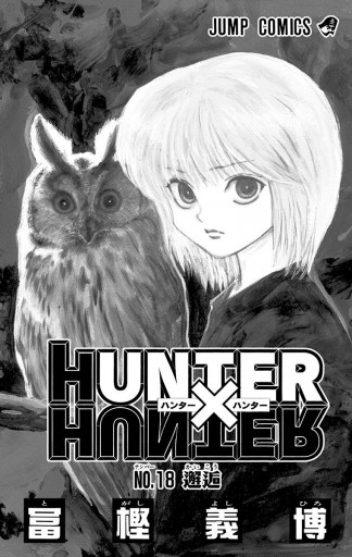 冨樫義博Hunter×Hunter(ハンター・ハンター)18