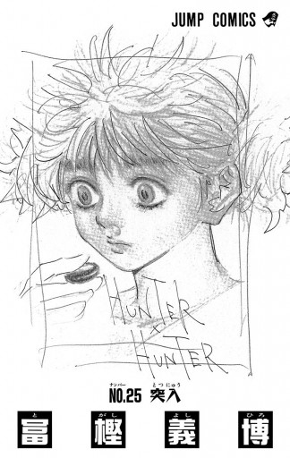 HUNTER×HUNTER モノクロ版 25 - 冨樫義博 - 漫画・無料試し読みなら