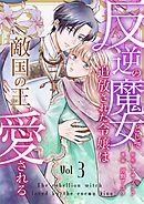 反逆の魔女として追放された令嬢は敵国の王から愛される 3