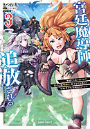 宮廷魔導師、追放される 3　～無能だと追い出された最巧の魔導師は、部下を引き連れて冒険者クランを始めるようです～