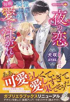 一夜の恋でよかったのに憧れの騎士様に毎晩愛を注がれています【特典SS付き】