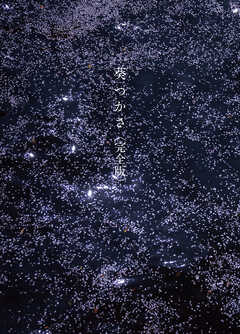 葵つかさ写真集　葵つかさ　完全版