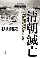 清朝滅亡：戦争・動乱・革命の中国近代史一八九四―一九一二