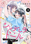 シンデレラ・ドール～脱いだらはじまる、この恋は～３