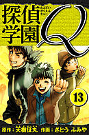 探偵学園Q 　愛蔵版　13
