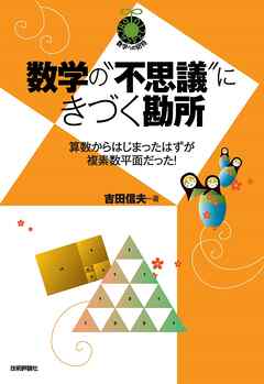 数学の“不思議”にきづく勘所　～算数からはじまったはずが複素数平面だった！～