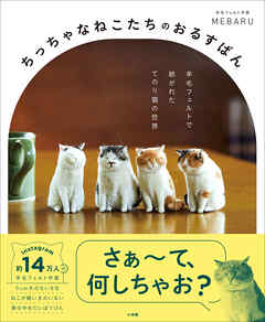 ちっちゃなねこたちのおるすばん　～羊毛フェルトで紡がれた　てのり猫の世界～