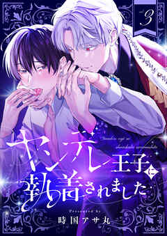 ヤンデレ王子に執着されました(3)