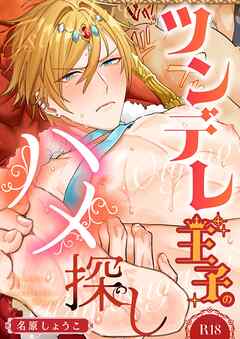 ツンデレ王子のハメ探し【棒消し修正版】