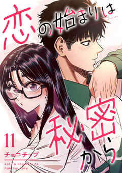 恋の始まりは秘密から１１