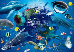 海の聲をきく　－Ｕｎｆｏｒｇｅｔａｂｌｅ　Ｅｎｃｏｕｎｔｅｒ－