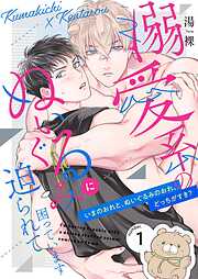 溺愛系のぬいぐるみに迫られて困っています【描き下ろしおまけ付き特装版】