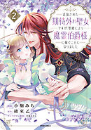 追放された期待外れ聖女ですが、聖婚により魔霊伯爵様に嫁ぐことになりました【単行本版】２