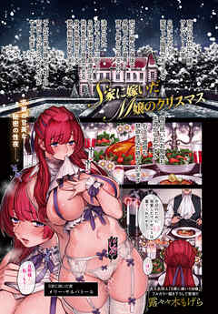 S家に嫁いだM嬢のクリスマス