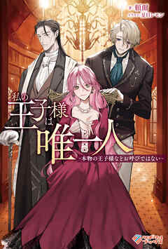 私の王子様は唯一人　～本物の王子様などお呼びではない～