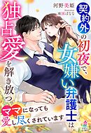契約外の初夜で、女嫌い弁護士は独占愛を解き放つ～ママになっても愛し尽くされています～