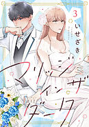 マリッジインザダーク（3）