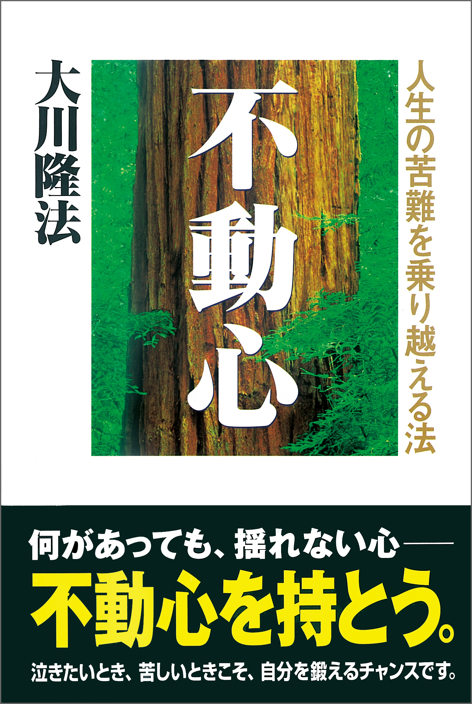 幸福になれない」症候群 : グッドバイネクラ人生 - 人文