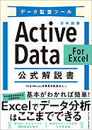 データ監査ツール 日本語版ActiveData For Excel 公式解説書