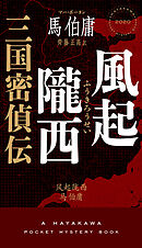 風起隴西　三国密偵伝