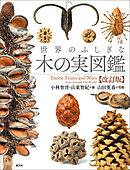 世界のふしぎな木の実図鑑【改訂版】