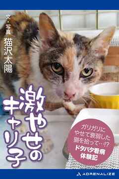 激やせのキャリ子