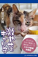 激やせのキャリ子