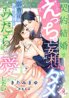 契約結婚でえっちな妄想はダメですか？　御曹司は無垢な妻をみだらに愛したい