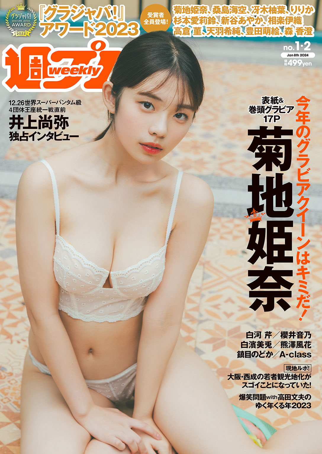 買い激安写真集　40冊　大量　まとめ売り　セット　年代物　希少本（グラビア　アイドル　タレント　女優　など） 複数被写体