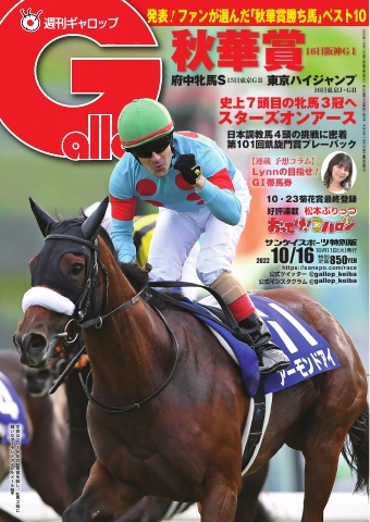 Gallopギャロップ 1998年10月毎日王冠 京都大賞典 - 趣味