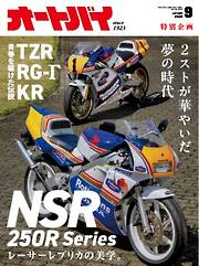 丸山いくこ　テディベア　レア フォトコン2025年8月号（最新号） - 雑誌・無料試し読みなら