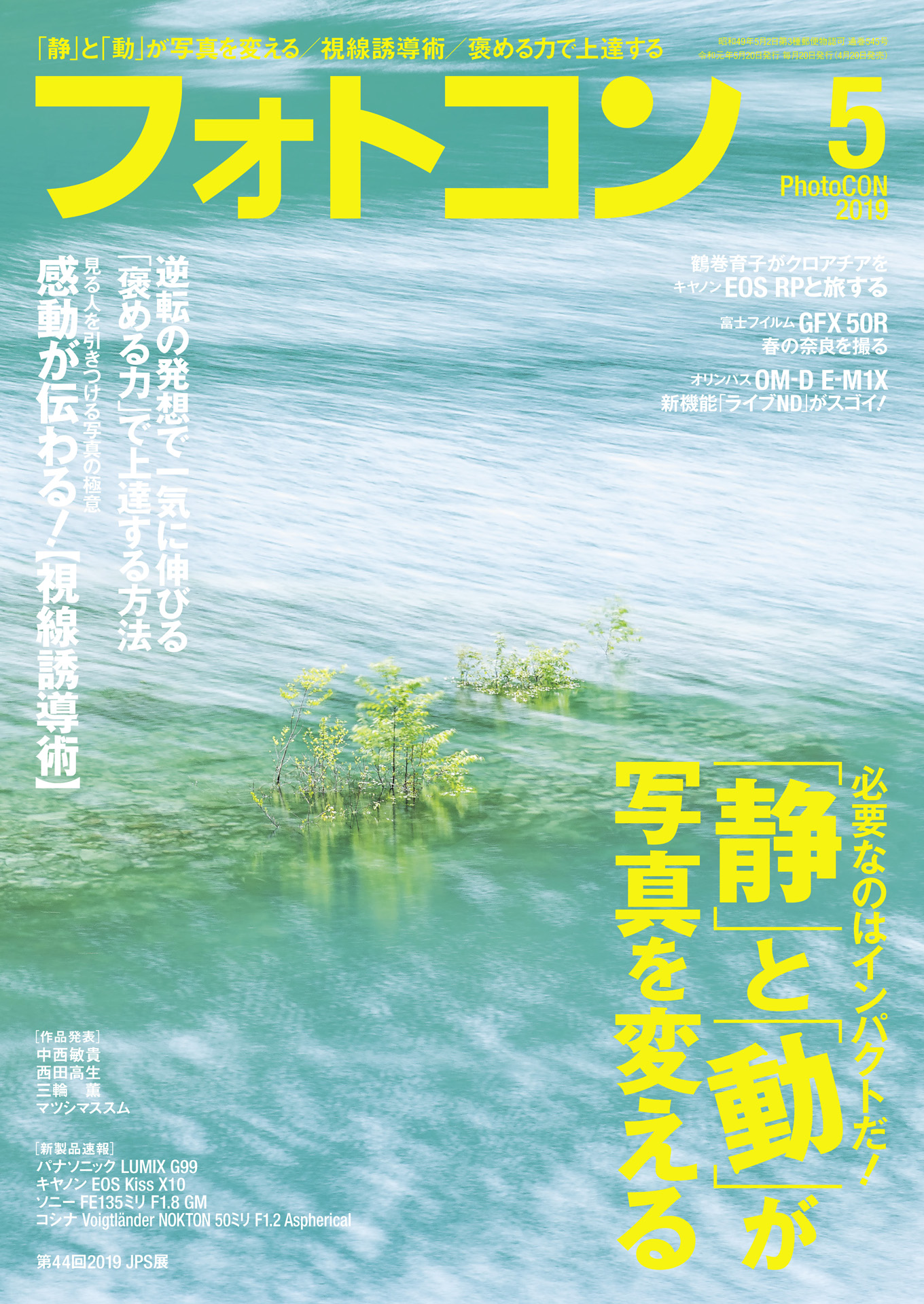 水を制する水泳進化論～理解して上達できる「姿勢」トレーニング～-