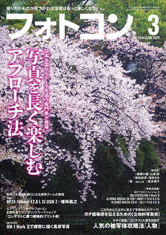 日本製お得人気洋画家作品　　　今川和男　　１２号　　「三春の瀧桜」 自然、風景画