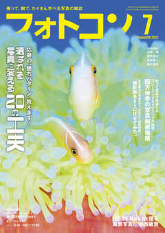 フォトコン2025年7月号
