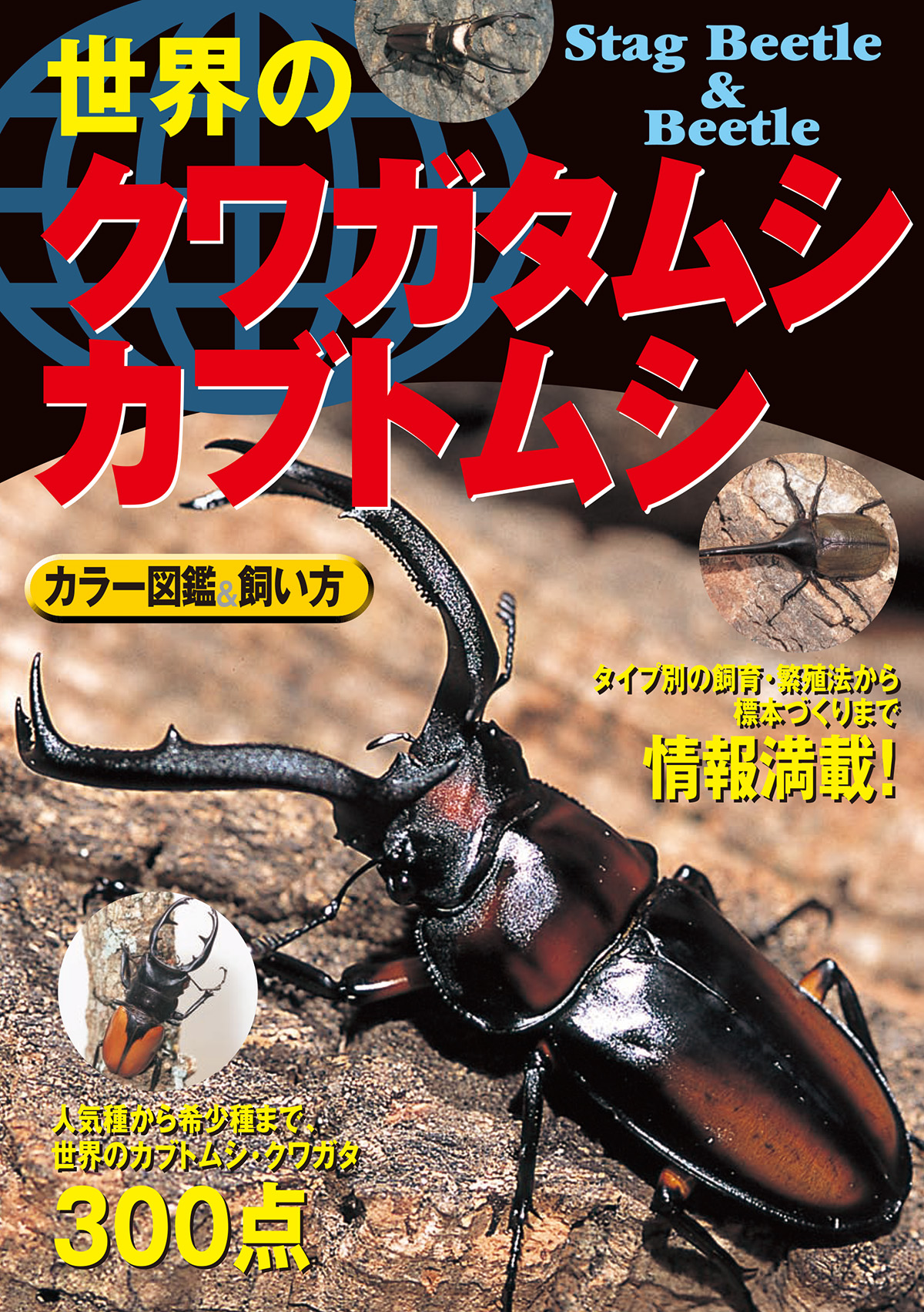 世界のクワガタムシ・カブトムシ カラー図鑑 飼い方 - 青木猛 - ビジネス・実用書・無料試し読みなら、電子書籍・コミックストア ブックライブ