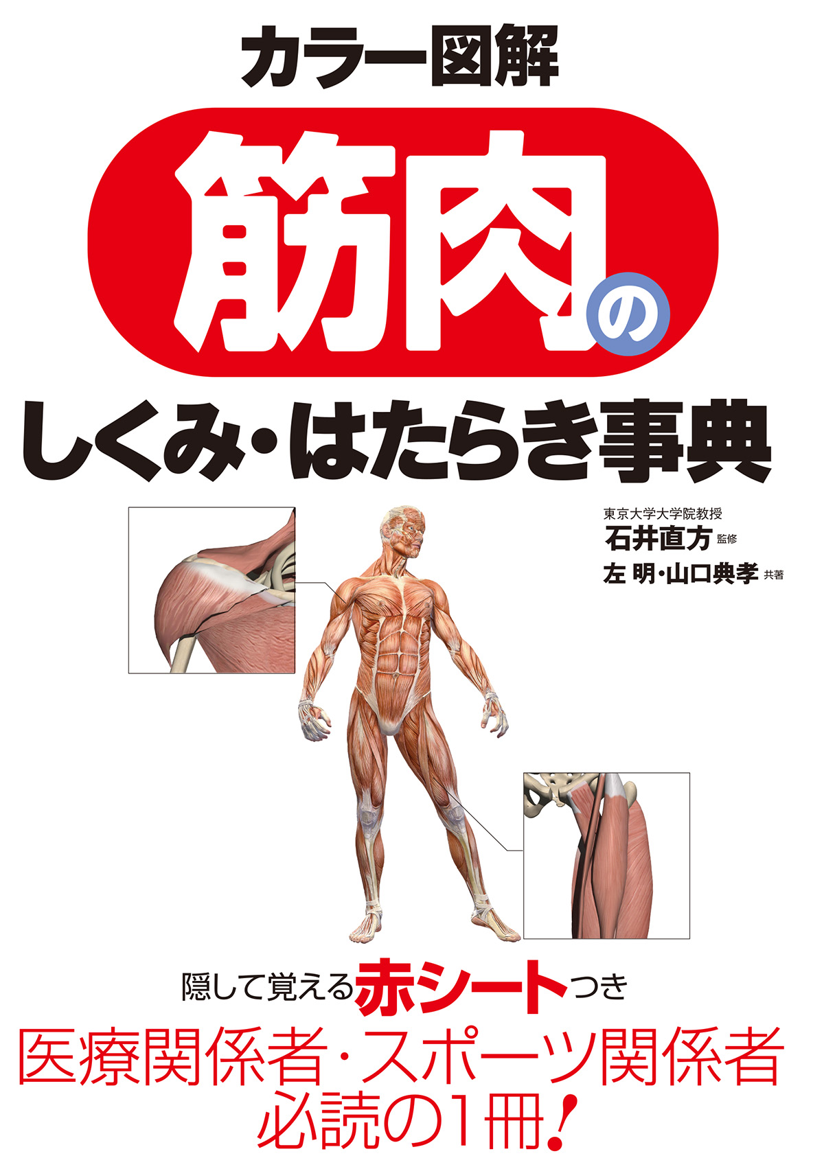 解剖学・生理学〈1〉―人体の構造と働き - 健康・医学