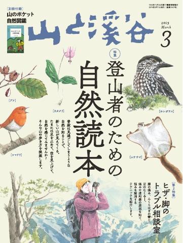 公式販売品 山渓カラーデラックス大判 全６冊フルセット（山と渓谷社