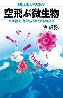 空飛ぶ微生物　気候を変え、進化をみちびく驚きの生命体