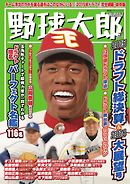 野球太郎 No.017　2015ドラフト総決算＆2016大展望号