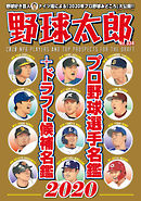 野球太郎 No.034 プロ野球選手名鑑＋ドラフト候補名鑑2020
