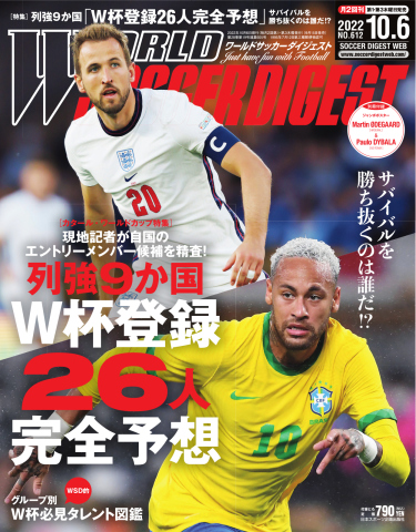 趣味/スポーツサッカー雑誌ストライカー35冊セット