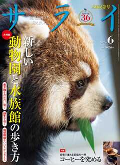 サライ 2026年 6月号
