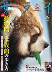 サライ 2026年 6月号