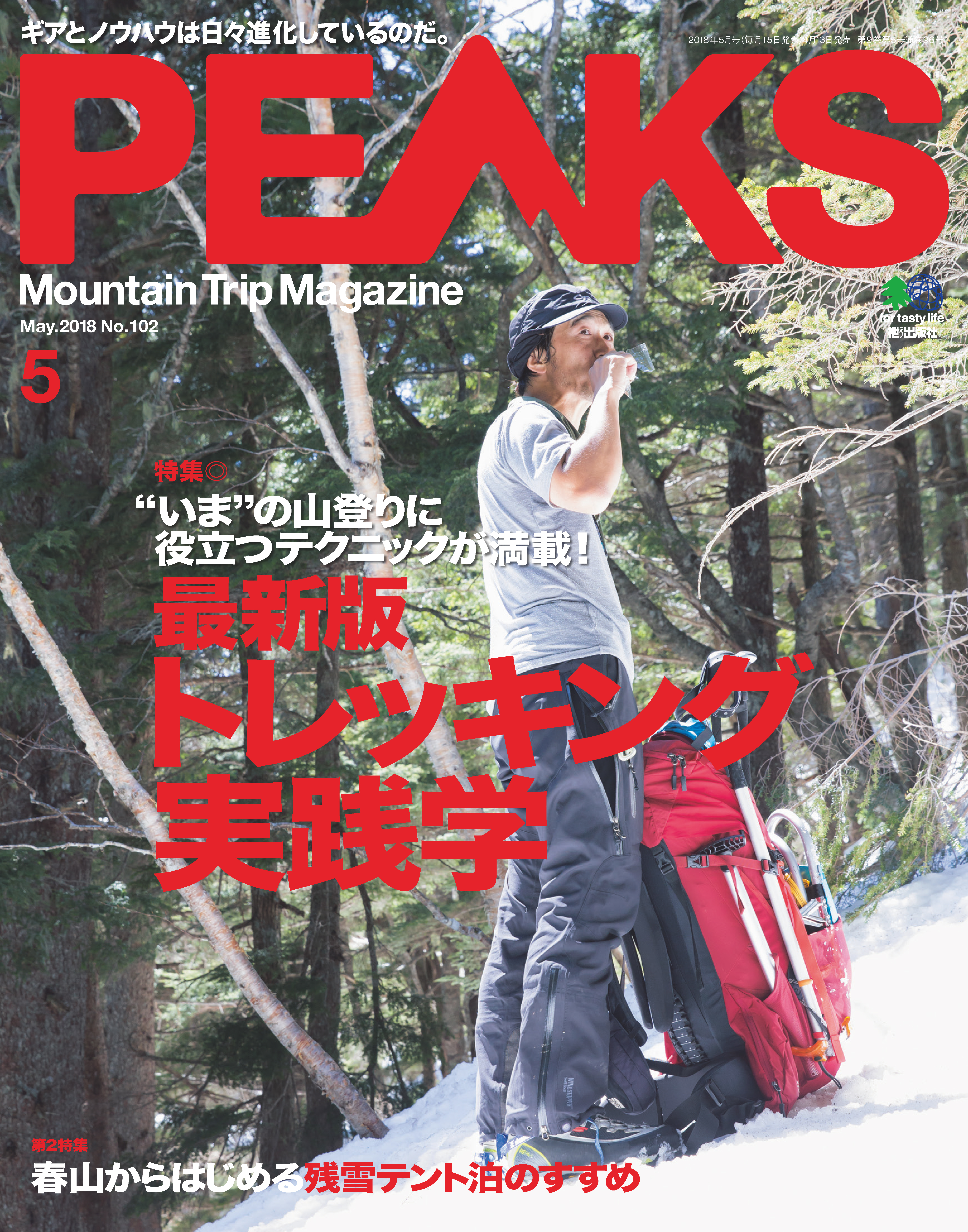 マウンテンエアピロー PEAKS ピークス