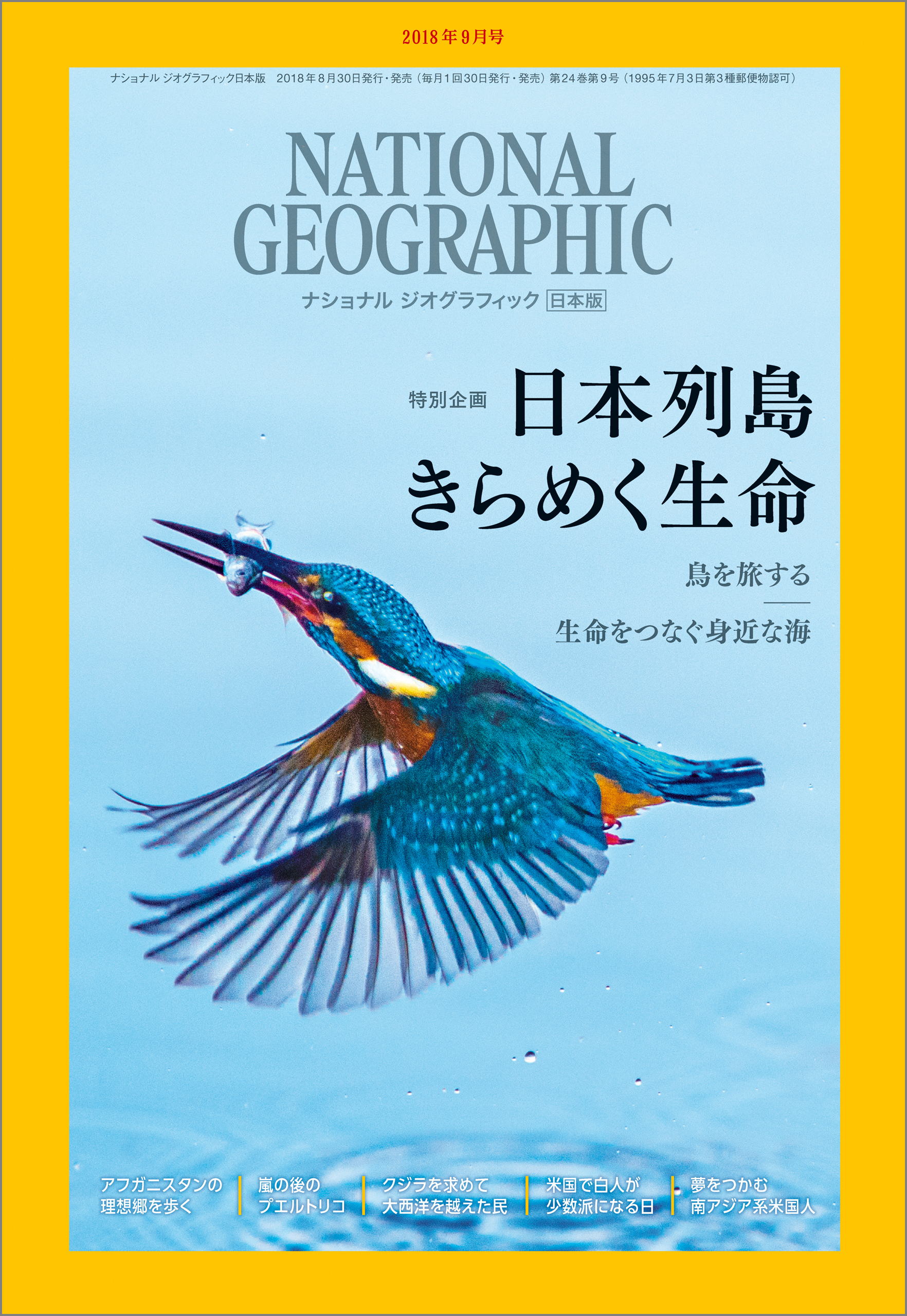 ナショナルジオグラフィック プレミアムセレクション DVD 全80巻セット 