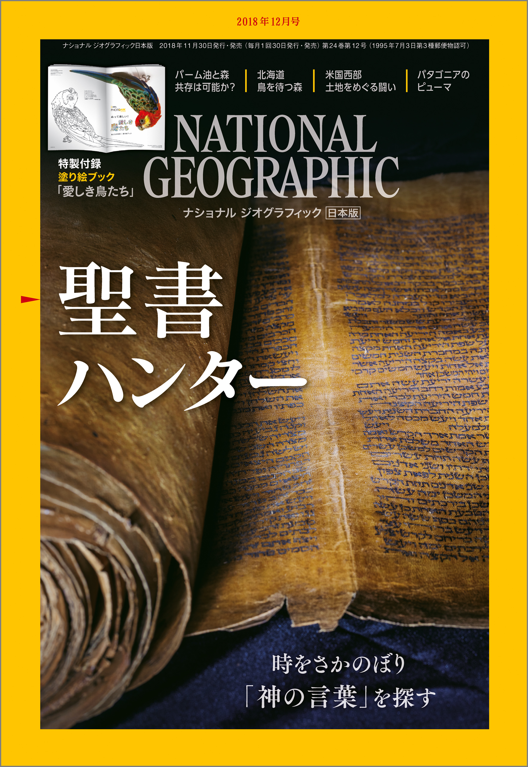 ナショナルジオグラフィック日本版 2000年 12冊 - ニュース