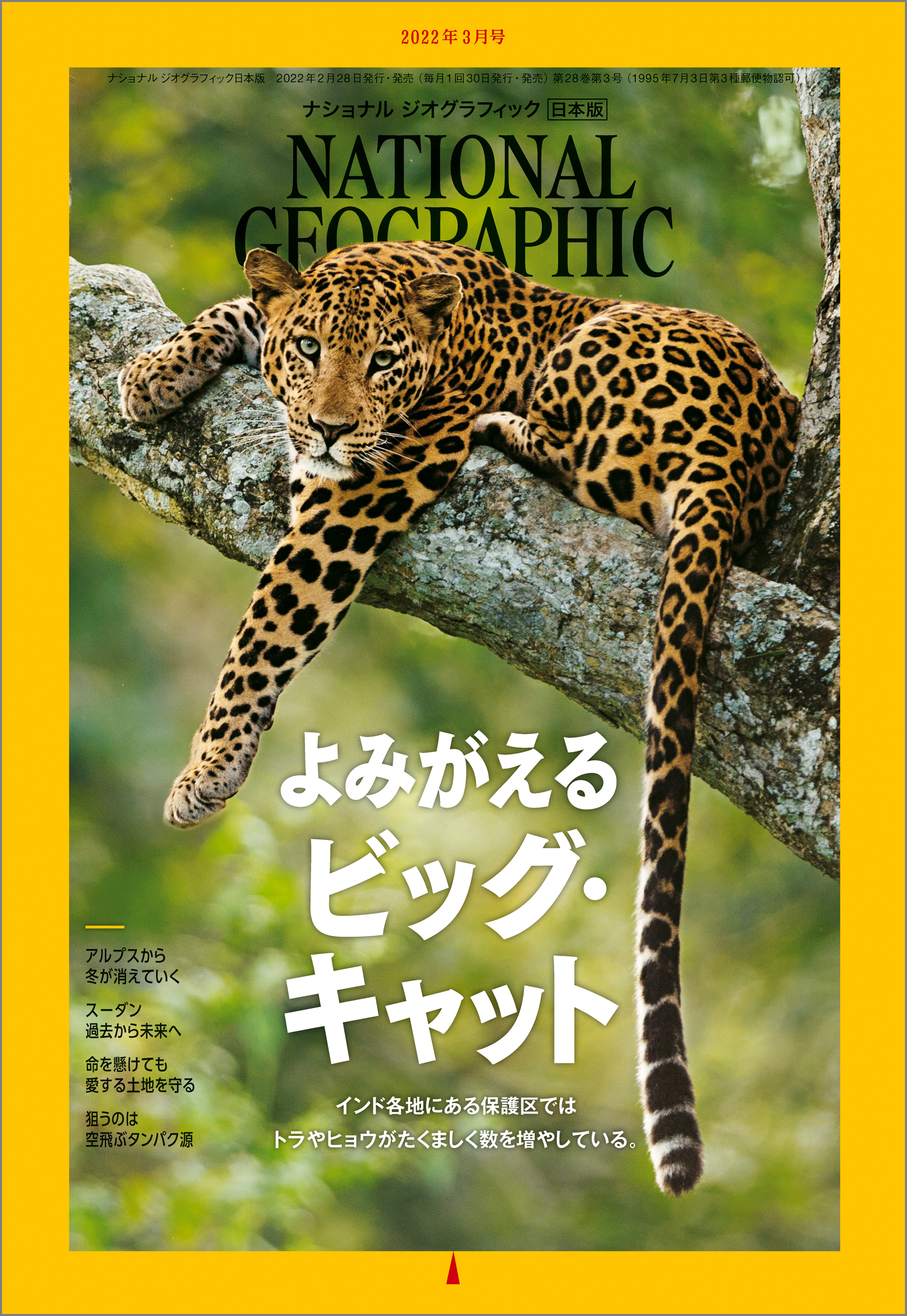 ナショナル ジオグラフィック 日本版 2022年3月号 - ナショナルジオ