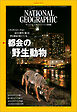 ナショナル ジオグラフィック 日本版 2022年7月号
